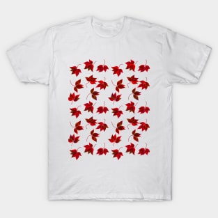 Red Autumn Leaves Floral Pattern T-Shirt